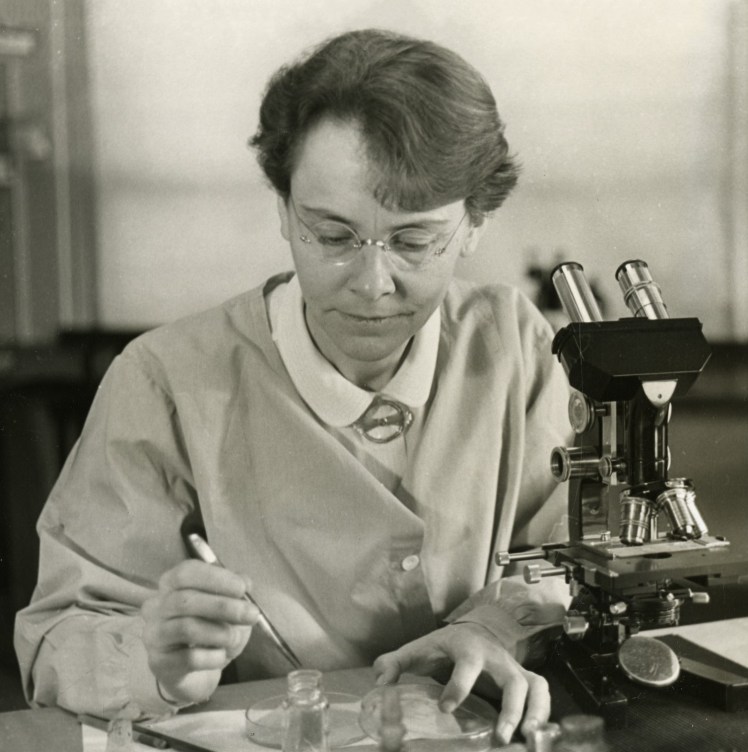 Barbara McClintock. Source: "Barbara McClintock (1902-1992)" by Smithsonian Institution - Flickr: Barbara McClintock (1902-1992). Via Wikimedia Commons - http://commons.wikimedia.org/wiki/File:Barbara_McClintock_(1902-1992).jpg#mediaviewer/File:Barbara_McClintock_(1902-1992).jpg