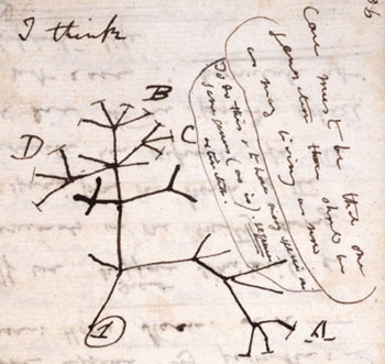 Darwin's 1837 sketch of an idea for how life is inter-related. Darwin was an avid studier of plants. Image Source: http://www.nhm.ac.uk/nature-online/evolution/tree-of-life/darwin-tree/