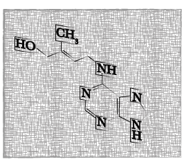 The cytokinin Trans-zeatin. One of many molecules known to have cytokinin activity.