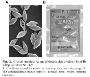 Bt crystals under an electron microscope and a pack of to be mixed and sprayed on crop plants. Source.