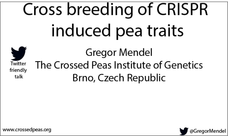 How to make a Twitter friendly title slide. Obviously, this is a bare bones example.