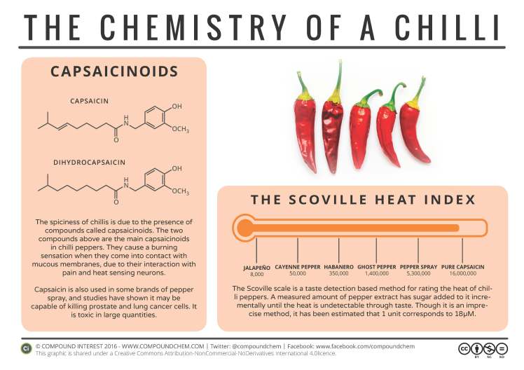 chilli-chemistry
