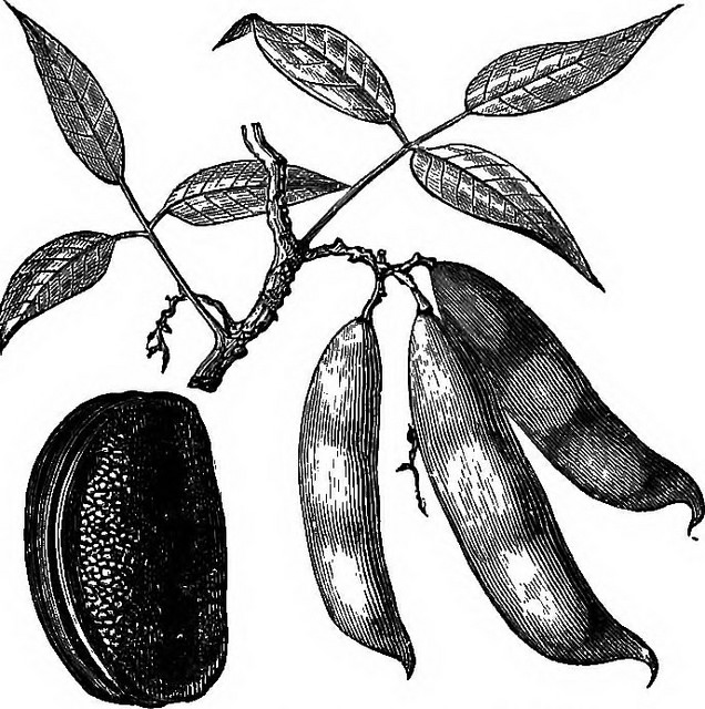 14780059972_6cc33b72ba_z