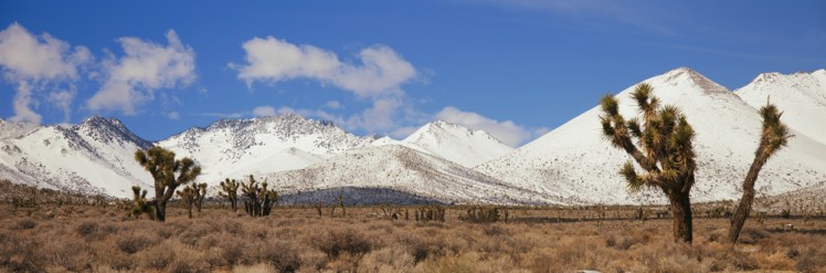 shutterstock_105142058