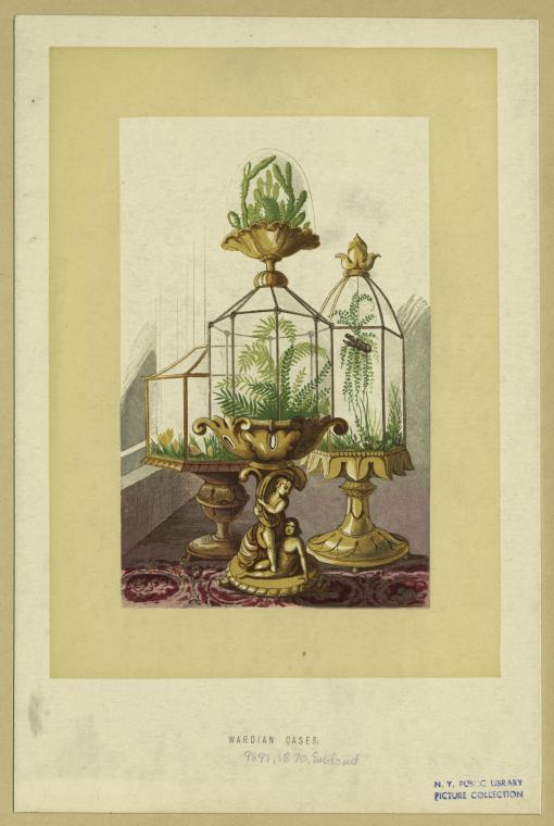 nypl-digitalcollections-510d47e2-d082-a3d9-e040-e00a18064a99-001-w