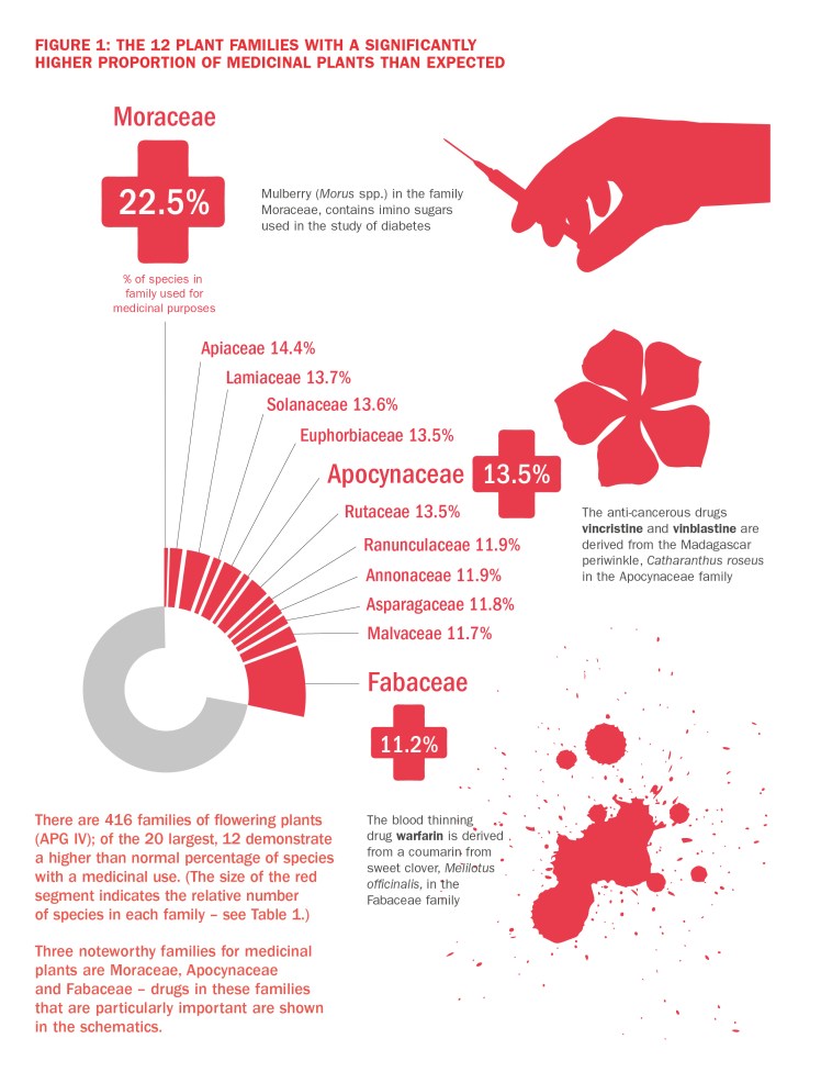 FIG 1_THE 12 PLANT FAMILIES WITH A SIGNIFICANTLY HIGHER PROPORTION OF MEDICINAL PLANTS THAN EXPECTED_P27