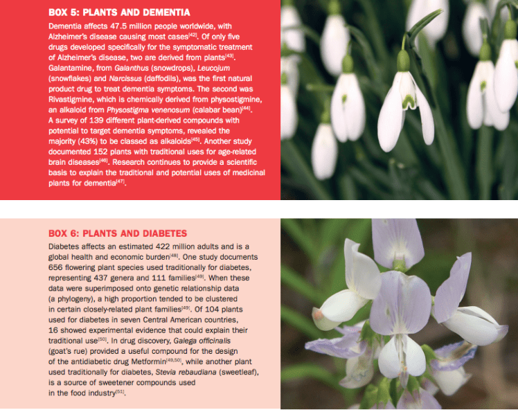 Screen Shot 2017-06-13 at 11.00.54 PM