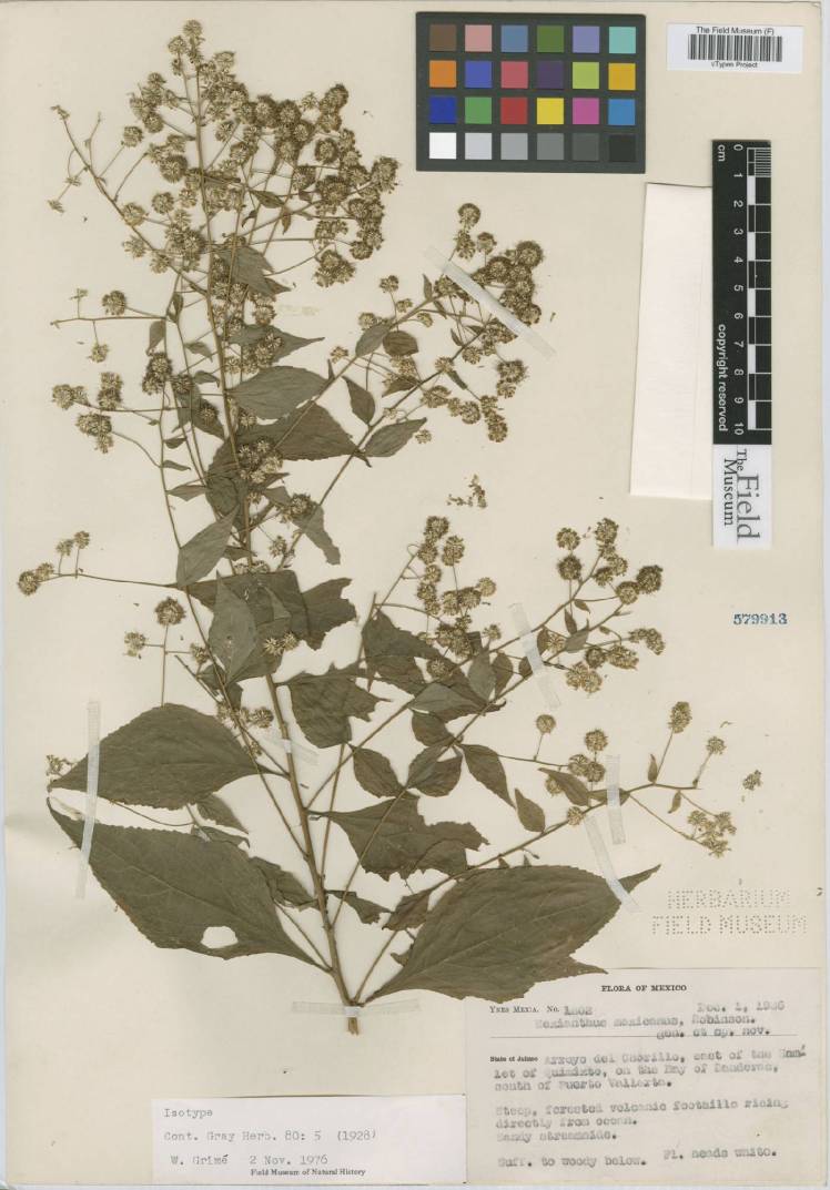 V0050634F_1495733642_web