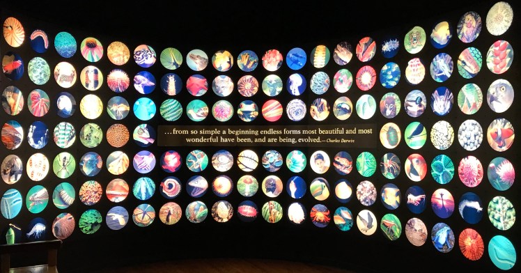 A photo of many different kinds of organisms with the final sentence of Darwin's On the Origin of Species in the center